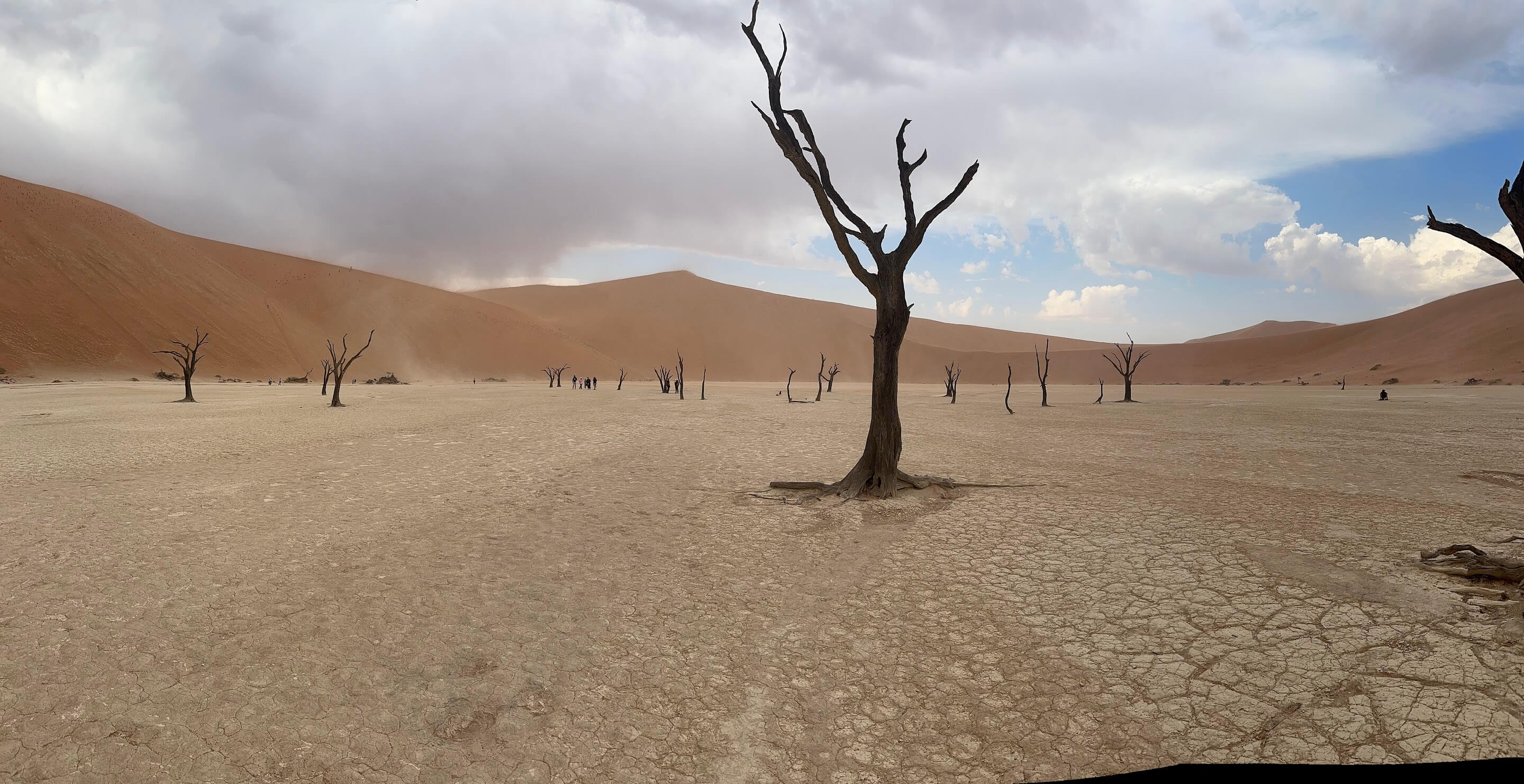 Solo in Namibia